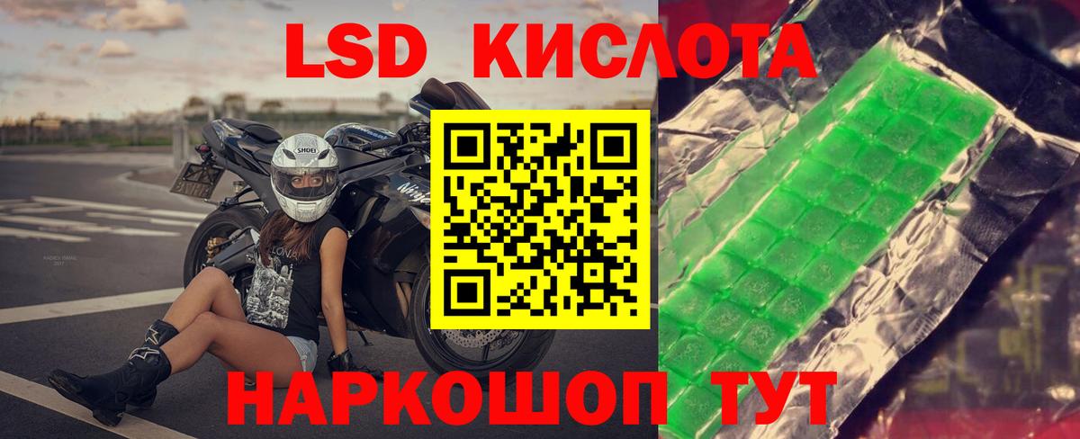 Псилоцибиновые грибы Звенигород