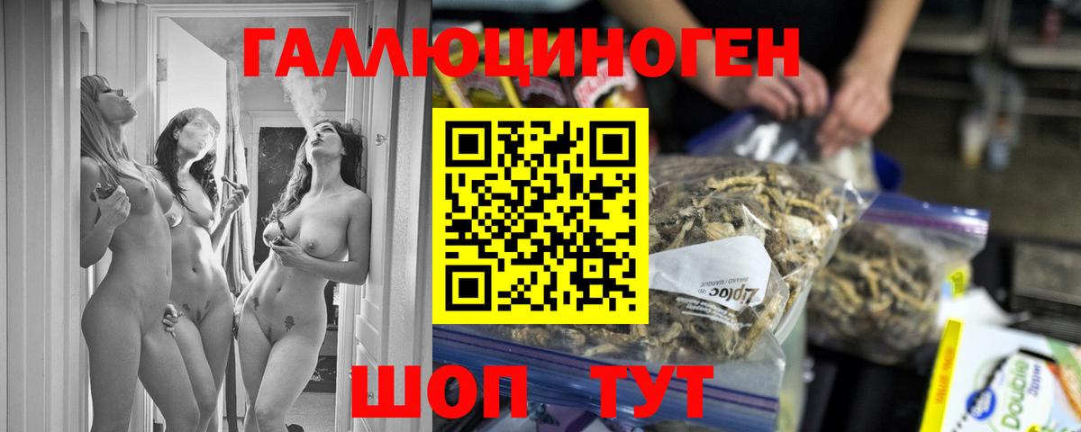 купить  сайты  Псилоцибиновые грибы прущие грибы  Вход с VPN  Звенигород  Галлюциногенные грибы Psilocybe 
