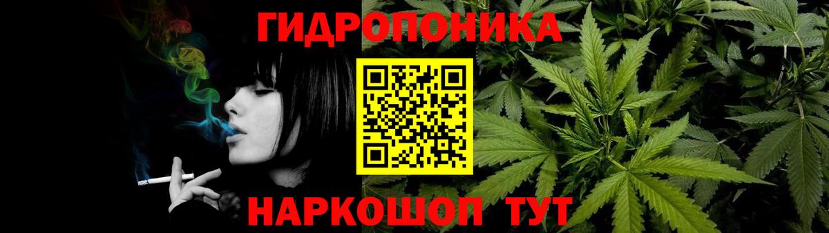 Канабис планчик  Вход с VPN  Звенигород  Конопля индика 